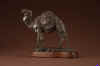Rowe-CamelStudy.jpg (178598 bytes)