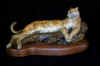Rowe-VantagePoint maquette.jpg (456025 bytes)