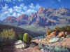 Aguiar-ArizonaDesert816.jpg (142411 bytes)