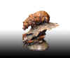Rowe-Bear Market Maquette.jpg (1015214 bytes)